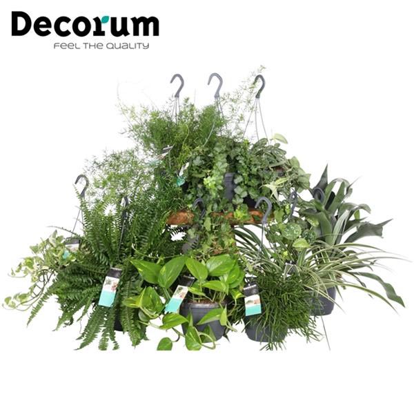 MIX-VE Grünmix Ampel