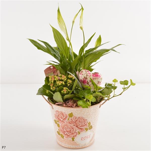 Arra. Valentintag PTVMB2308