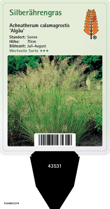 Achnatherum calamagrostis Algäu