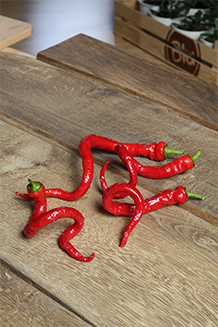 Capsicum annuum Bio - Chili Milder Spiral