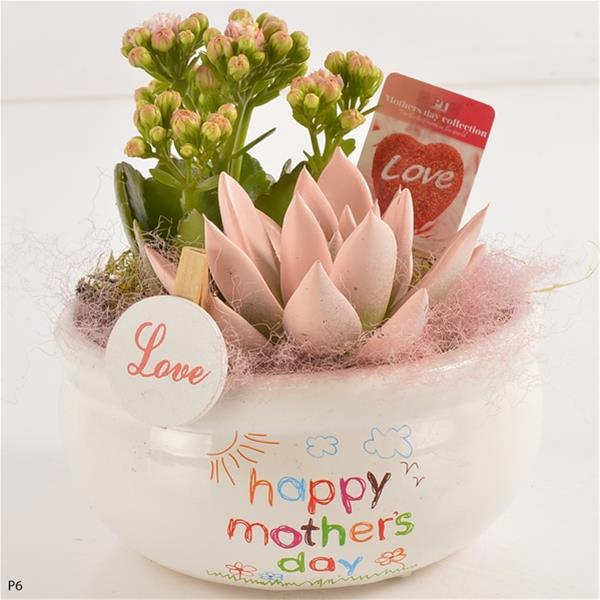 Arra. Valentintag PTVMB2230