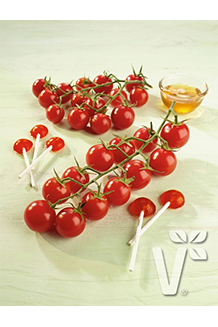 Solanum lycopersicum Solena Red veredelt