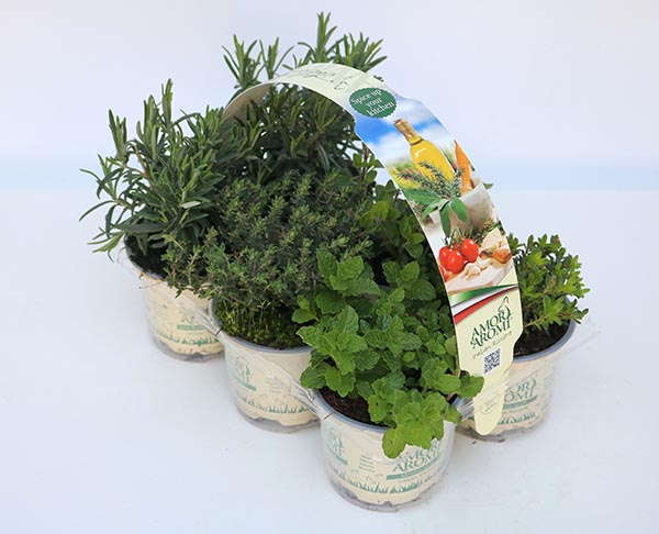 MIX-VE Gewürze 6-Pack