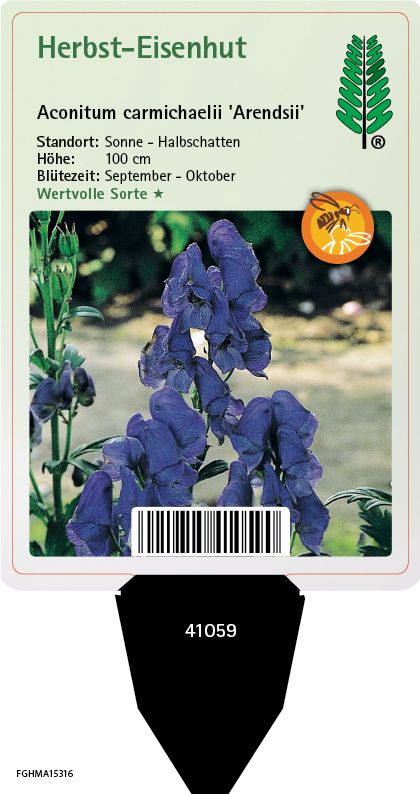 Aconitum carmichaelii Arendsii
