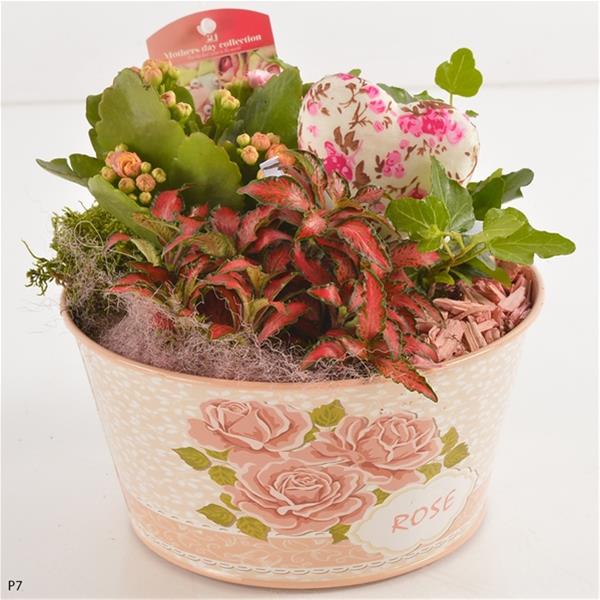 Arra. Valentintag PTVMB2232